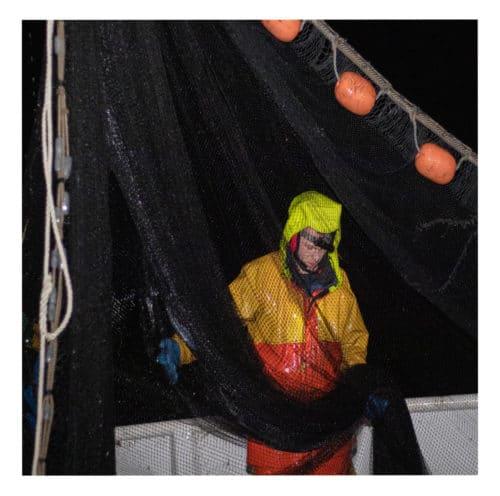 Håkon om bord i «Williksen Senior». Sildefiske utenfor Skjervøy i Nord-Troms. Silda går mot overflata når det blir mørkt, og da blir sildenota kastet. Et hektisk fiske med lite søvn. 